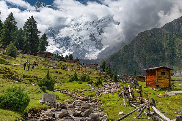 Fairy Meadows Tour
