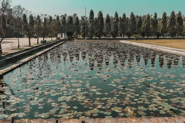 Why Shalimar Garden Is More Than Just a Park